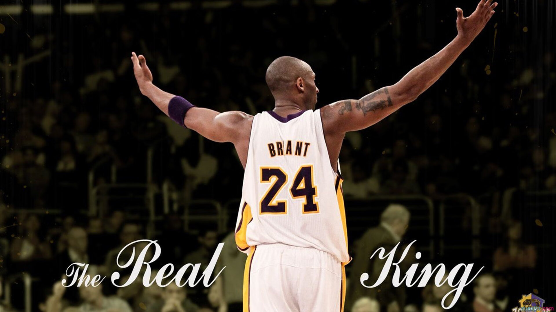 开云官方网页登录-库里影响力：三分神射如何重塑现代篮球的打法，库里三分球训练视频教程